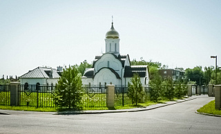Сосновая аллея в Крекшино